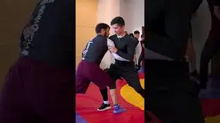 Основы вольной борьбы