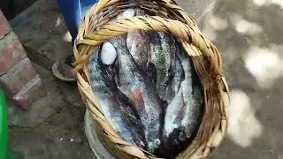 VENTA DE CABRILLAS EN HUARMEY