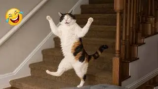 Impossible Not to Laugh 🤣😹 Funniest Cat Clips 2026