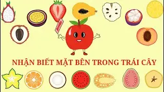 #1- Giúp trẻ nhận biết mặt cắt trái cây Việt Nam | #videotrẻem #hoccungringo #trithuc #treem #hoctap