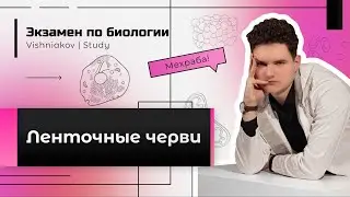 Biology Exam | Tapeworms. Beef tapeworm. Pork tapeworm. Broad tapeworm