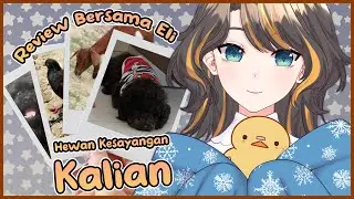 【Review Bersama Eli】Mana hewan kesayangan kalian? Eli mau lihat✨【Vtuber Indonesia】