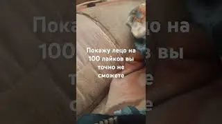 27 июня 2024 г.