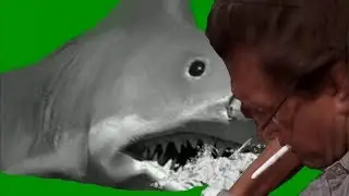 SHARK ATTACK-animated  green screen HD