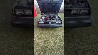 Supercharged Pontiac 6000 wagon!  #pontiac #6000 #supercharged #80s