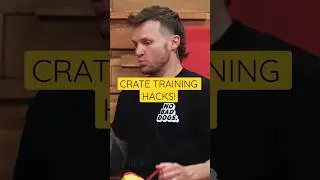 How To Crate Train Your Puppy! 