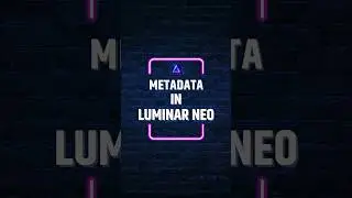 Metadata in Luminar NEO (2024 Update)