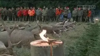 Hubertusjagd im Südharz