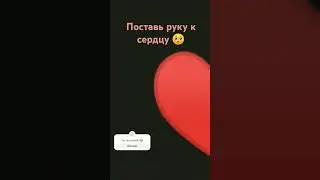 Поставь руку к сердцу #дети #сирийскийхомяк #musicgenre #меме #pets #сирийскиехомяки #musicsong #fun