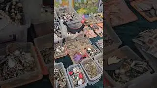 Ростовский клуб коллекционеров 