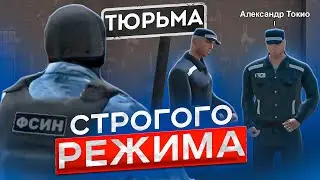 ЗАХОДИ - НЕ БОЙСЯ, ВЫХОДИ - НЕ ПЛАЧЬ / AMAZING RP