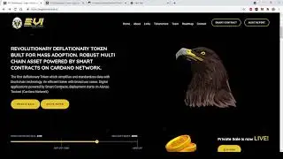 Eagle Vision ADA-  not investable , no future. DYOR