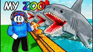 Level 1 to 1,000 ZOO in Roblox