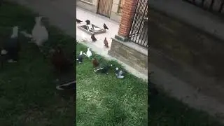3 de septiembre de 2022