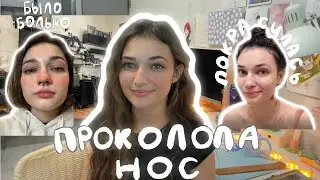Проколола септум// Покрасила волосы// Укусила собака