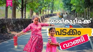 5000 രൂപയ്ക്ക് വാങ്ങിയ പടക്കം | Variety of crackers, olappadakkam & poothiri | vishu special vlogs