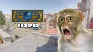 ГОЛД НОВА ИНФЕРНО