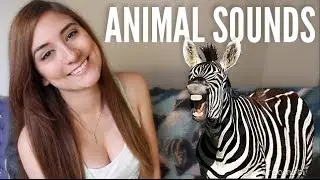 ANIMAL IMPRESSIONS
