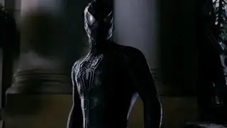 spider-man but instead he missed the part where that’s his problem