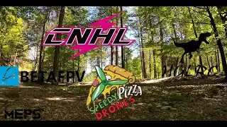 Pavo25 #CNHL 4S 850mah flight time with DJI Action 2