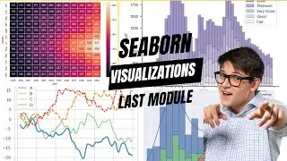 Python Seaborn Boxplot and Countplot