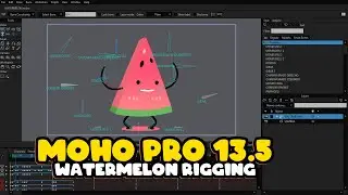 WATERMELON | MOHO PRO 13.5.2 RIGGING 