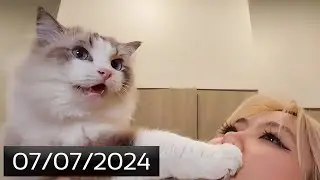 [07/07/2024] Kitchen Stream