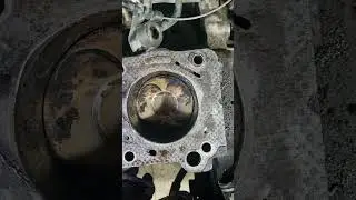 TOYOTA не ломается )))