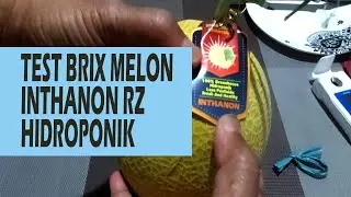 Tes Kemanisan Melon (Brix Test)