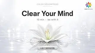 Clear Your Mind | Lily Session | 10 Min Presence | Color Decompress