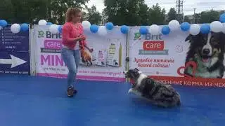Happy Dogs Day в Догги 24 июня 2018
