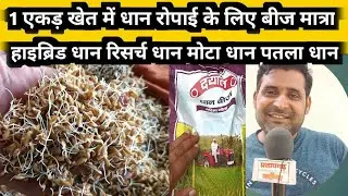 1 एकड़ खेत की रोपाई के कितने किलो धान बीज लगेगा | Hybrid dhan | dhaan Nursery beej matra |arize 6444