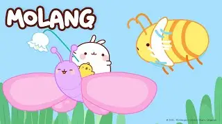 Molang - We shrank Molang ! |  More ⬇️ ⬇️ ⬇️