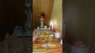 ВЫ 👉 ВВЕЛИ ЕГО В СТУПОР!!!! 👦 ЖУТКО РАСТРОЕН!!! / PROTARO 1233