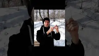 Белок Как Источник Энергии? Плохая Идея! #Антон37 #SOTKA