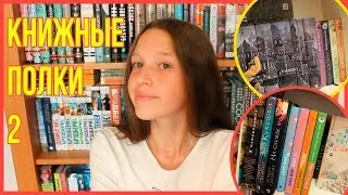 КНИЖНЫЕ ПОЛКИ ) 2 часть