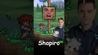 THE WEIRDEST TERRARIA MODS YOU DIDN'T KNOW EXISTED!! 