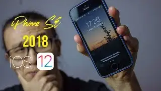 iPhone SE в 2018 | Лучший бюджетный телефон на iOS 12