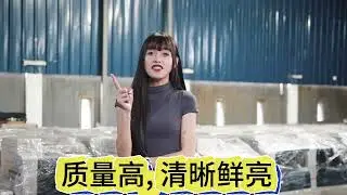 ZENON COPIER 出新歌了，务必欣赏