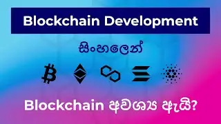 blockchain development in sinhala  - why we need blockchains by malinda sir