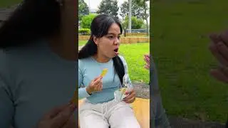 LNF - Khi chó mèo biết hát - Cat and dog can sing 🤣 