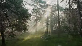 Julian Lloyd Webber - Return to Paradise (Powrót do raju)