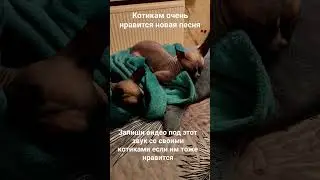 #россия