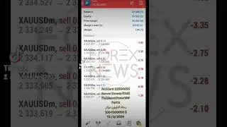 اكسبيرت الدهب السحري يعمل على الذهب واشارته بدات من 100 دولار في حساب سنت