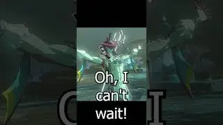 Link and Sidon Smash #zeldatotk #zelda #totk #botw #breathofthewild #sidon #link  #tearsofthekingdom