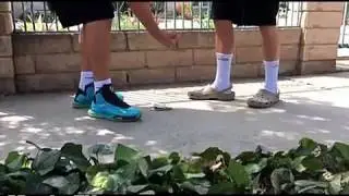 Грибы - Копы