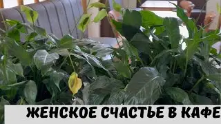 Женское Счастье в Кафе