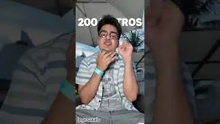 ¿Conocías al escarabajo remolino?