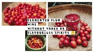 The Making of Plum Wine 🍷
