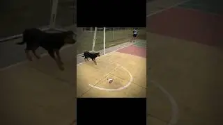 Bro thinks he is Casillas☠️🤣 #funny #football